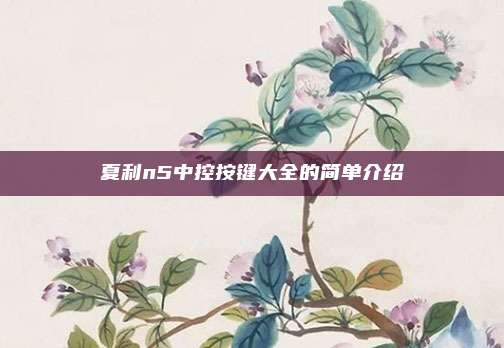 夏利n5中控按键大全的简单介绍