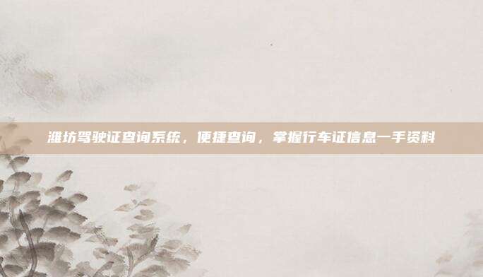 潍坊驾驶证查询系统，便捷查询，掌握行车证信息一手资料