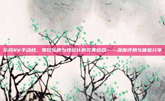 乐风RV手动档，驾控乐趣与性价比的完美结合——深度评测与体验分享
