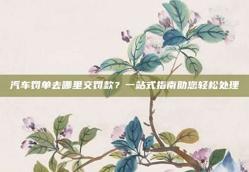 汽车罚单去哪里交罚款？一站式指南助您轻松处理