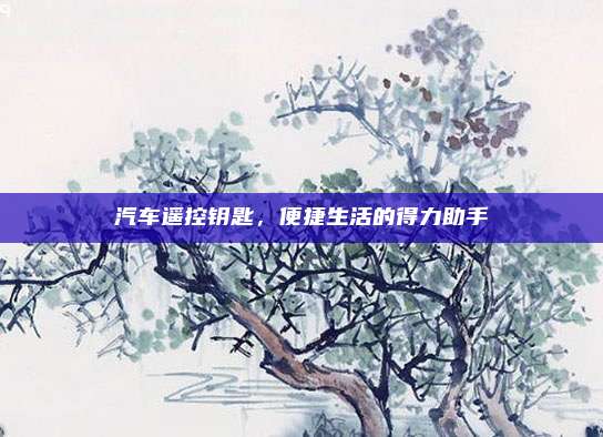 汽车遥控钥匙,便捷生活的得力助手