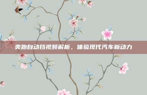 奕跑自动挡视频解析，体验现代汽车新动力