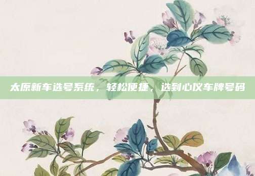 太原新车选号系统，轻松便捷，选到心仪车牌号码