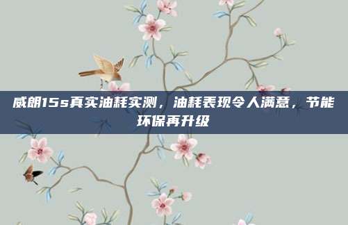威朗15s真实油耗实测，油耗表现令人满意，节能环保再升级