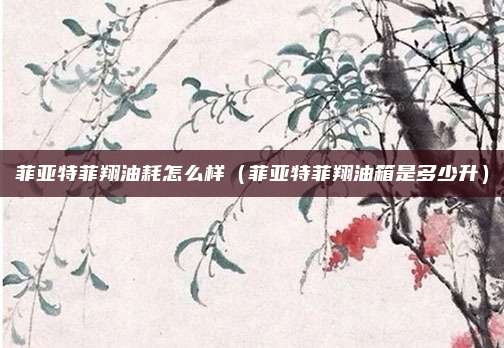 菲亚特菲翔油耗怎么样(菲亚特菲翔油箱是多少升)