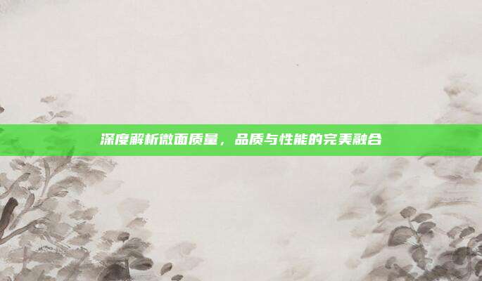 深度解析微面质量，品质与性能的完美融合