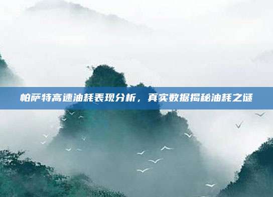 帕萨特高速油耗表现分析，真实数据揭秘油耗之谜
