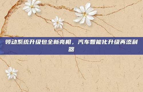 领动系统升级包全新亮相，汽车智能化升级再添利器