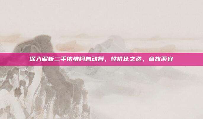 深入解析二手依维柯自动挡，性价比之选，商旅两宜
