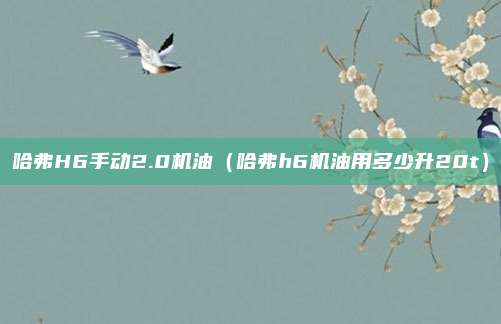 哈弗H6手动2.0机油（哈弗h6机油用多少升20t）