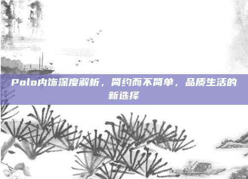 Polo内饰深度解析，简约而不简单，品质生活的新选择