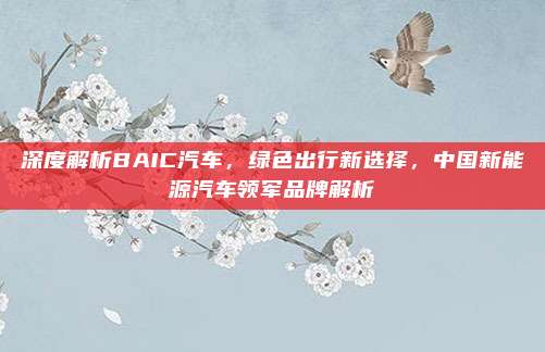 深度解析BAIC汽车，绿色出行新选择，中国新能源汽车领军品牌解析