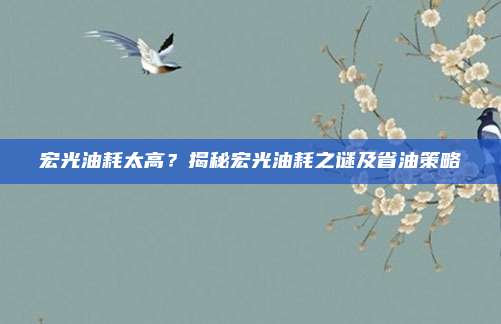 宏光油耗太高？揭秘宏光油耗之谜及省油策略