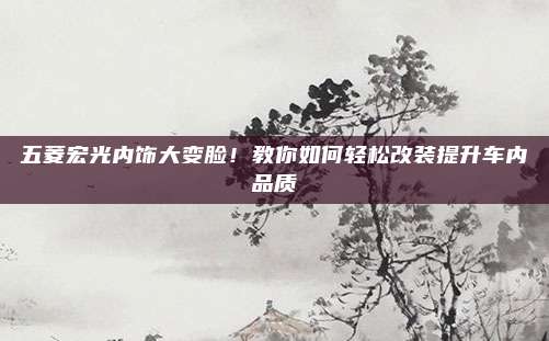 五菱宏光内饰大变脸！教你如何轻松改装提升车内品质