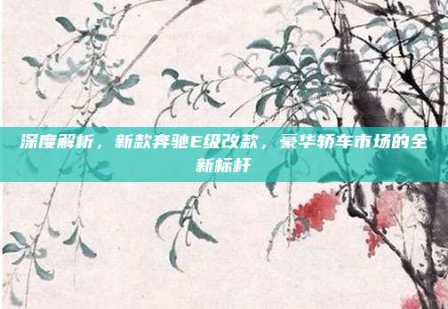 深度解析，新款奔驰E级改款，豪华轿车市场的全新标杆