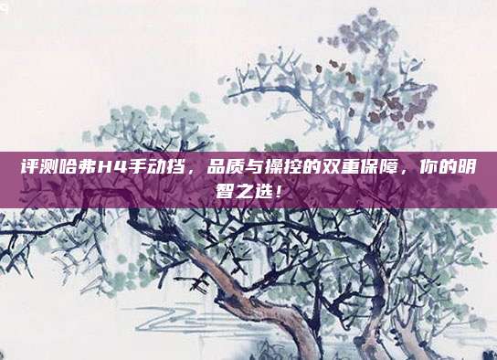 评测哈弗H4手动挡，品质与操控的双重保障，你的明智之选！