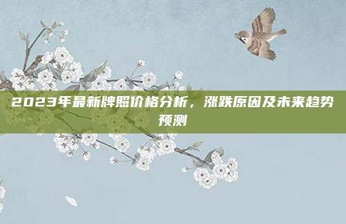 2023年最新牌照价格分析，涨跌原因及未来趋势预测