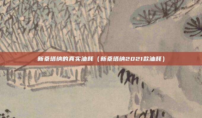 新桑塔纳的真实油耗（新桑塔纳2021款油耗）