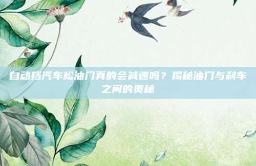 自动挡汽车松油门真的会减速吗？揭秘油门与刹车之间的奥秘