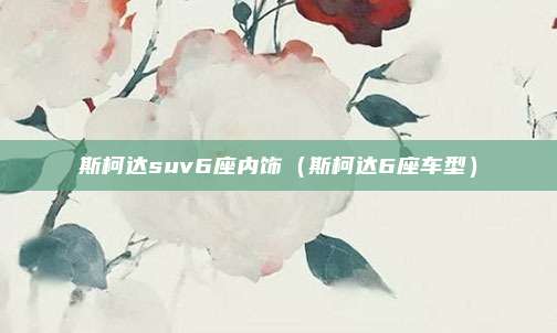 斯柯达suv6座内饰（斯柯达6座车型）