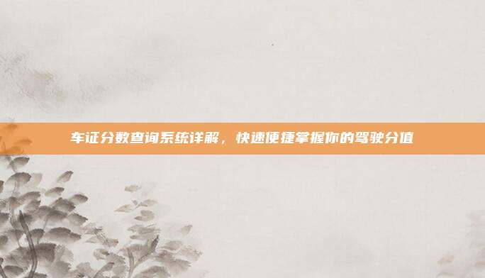 车证分数查询系统详解，快速便捷掌握你的驾驶分值