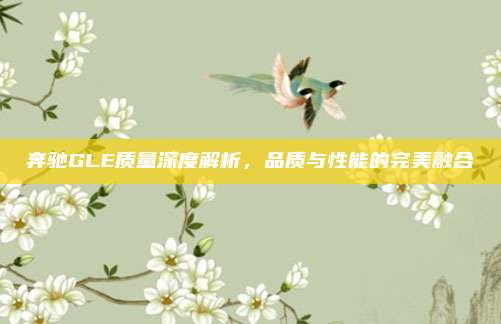 奔驰GLE质量深度解析，品质与性能的完美融合