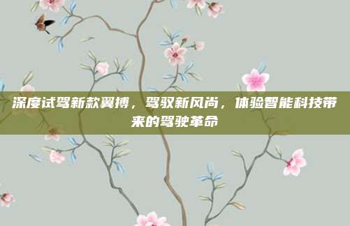 深度试驾新款翼搏，驾驭新风尚，体验智能科技带来的驾驶革命
