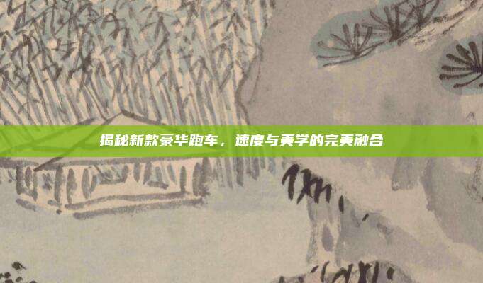 揭秘新款豪华跑车，速度与美学的完美融合