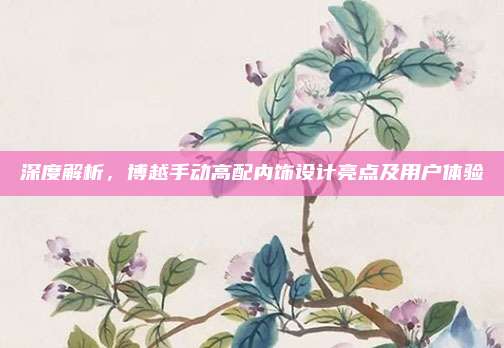 深度解析，博越手动高配内饰设计亮点及用户体验