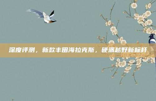 深度评测，新款丰田海拉克斯，硬派越野新标杆