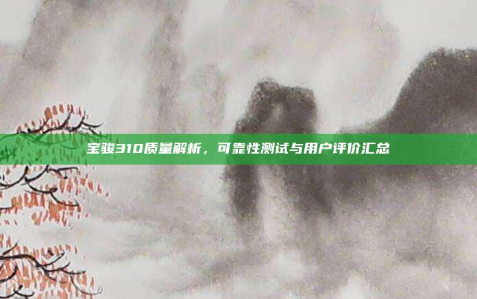 宝骏310质量解析，可靠性测试与用户评价汇总