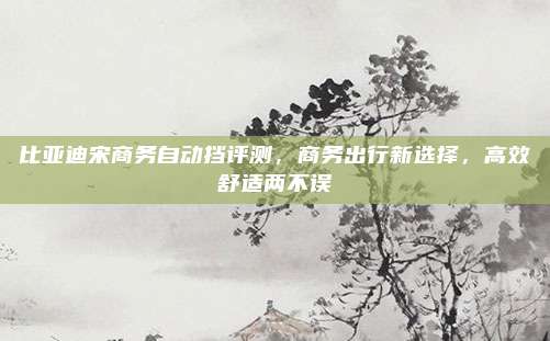 比亚迪宋商务自动挡评测，商务出行新选择，高效舒适两不误