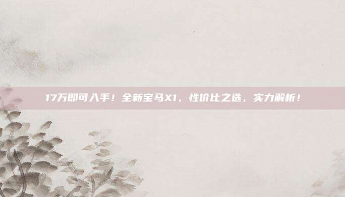 17万即可入手！全新宝马X1，性价比之选，实力解析！