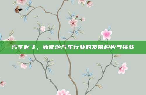汽车起飞，新能源汽车行业的发展趋势与挑战