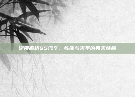 深度解析S5汽车，性能与美学的完美结合
