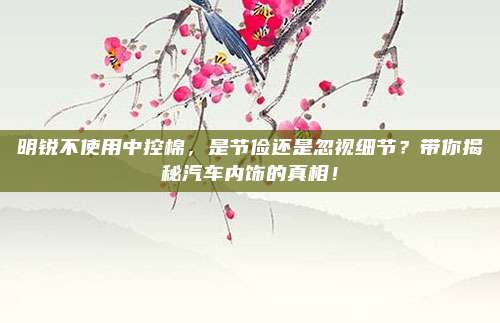 明锐不使用中控棉，是节俭还是忽视细节？带你揭秘汽车内饰的真相！