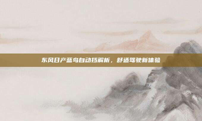 东风日产蓝鸟自动挡解析，舒适驾驶新体验