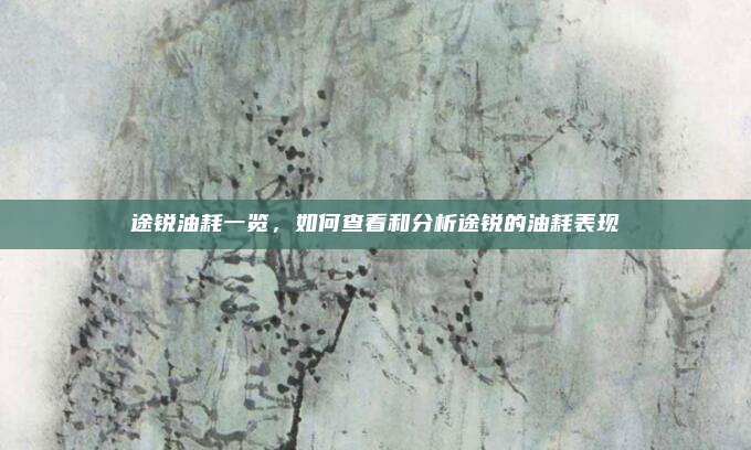 途锐油耗一览，如何查看和分析途锐的油耗表现
