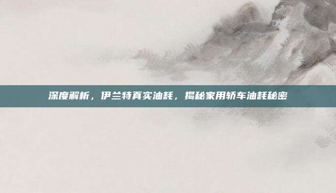 深度解析，伊兰特真实油耗，揭秘家用轿车油耗秘密