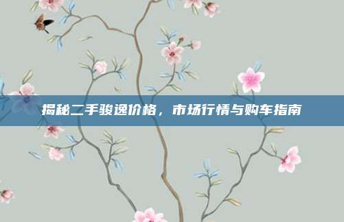 揭秘二手骏逸价格，市场行情与购车指南
