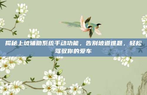 揭秘上坡辅助系统手动功能，告别坡道难题，轻松驾驭你的爱车
