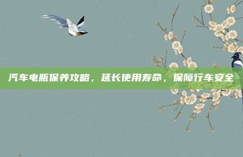 汽车电瓶保养攻略，延长使用寿命，保障行车安全