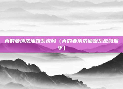 真的要清洗油路系统吗（真的要清洗油路系统吗知乎）
