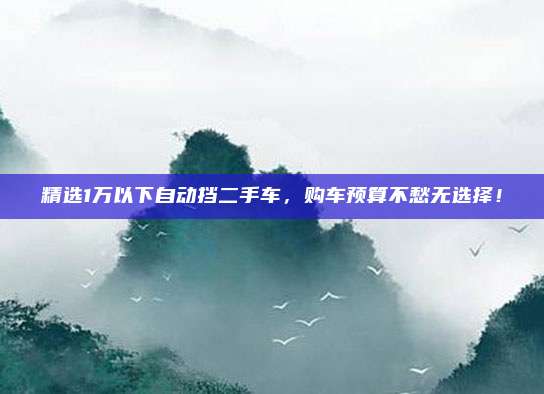 精选1万以下自动挡二手车，购车预算不愁无选择！