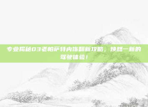 专业揭秘03老帕萨特内饰翻新攻略，焕然一新的驾驶体验！