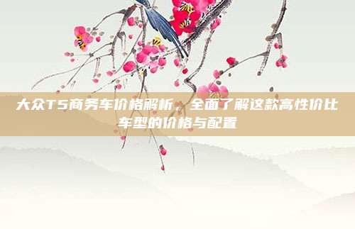 大众T5商务车价格解析，全面了解这款高性价比车型的价格与配置