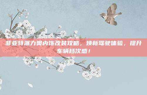 菲亚特派力奥内饰改装攻略，焕新驾驶体验，提升车辆档次感！