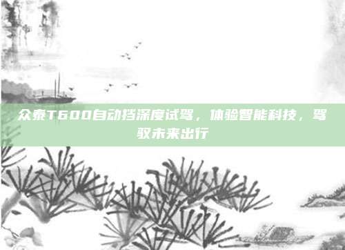 众泰T600自动挡深度试驾，体验智能科技，驾驭未来出行