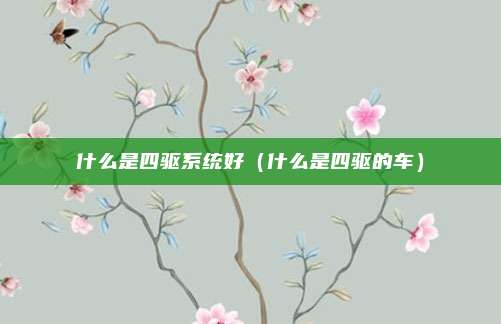 什么是四驱系统好（什么是四驱的车）