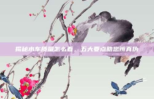 揭秘水车质量怎么看，五大要点助您辨真伪